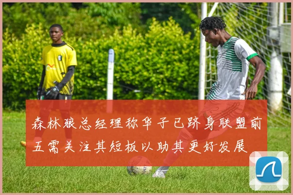 森林狼总经理称华子已跻身联盟前五需关注其短板以助其更好发展